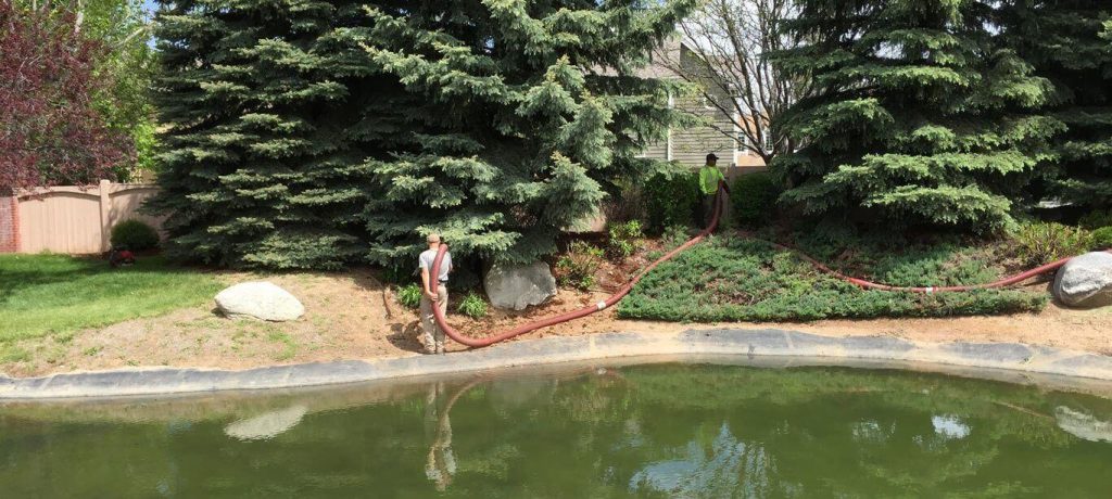 redwood mulch around trees and ponds and along the streetscape