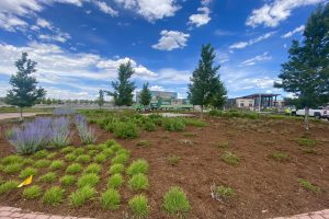Professionally mulched commercial landscape beds at an office complex with a Ground Solutions blower truck in the background.